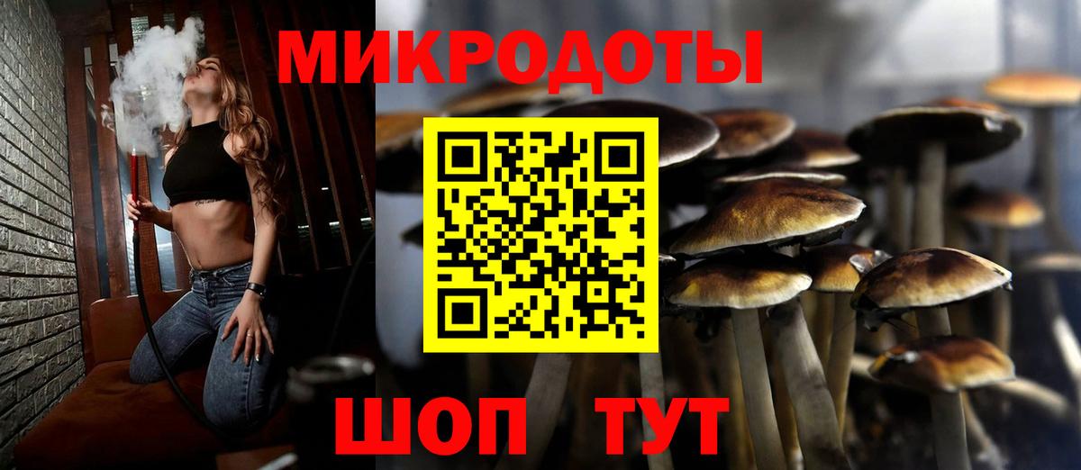 Галлюциногенные грибы мухоморы  Вход с VPN  Камышлов 