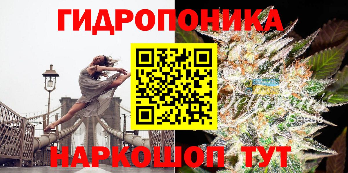 МАРИХУАНА ГИДРОПОН  Вход с VPN  Камышлов  Каннабис OG Kush  Марихуана марихуана  Марихуана MAZAR 